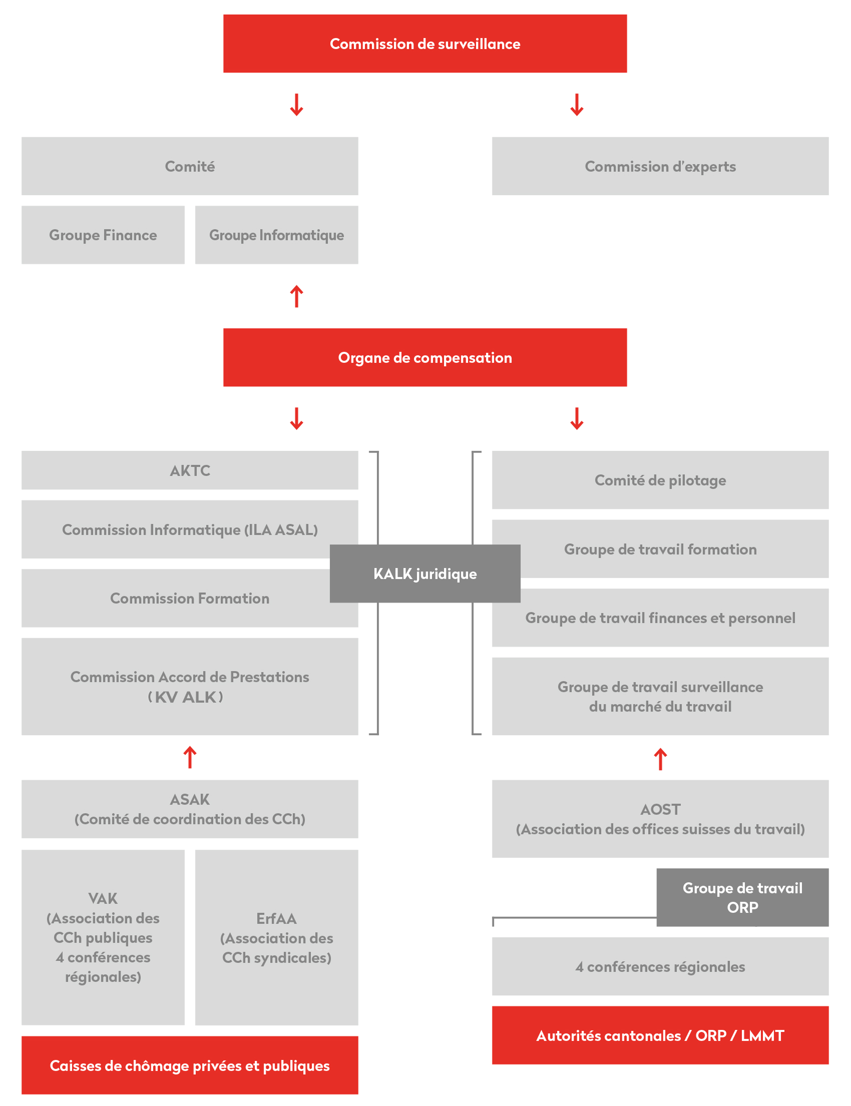 Organisation de l’Association